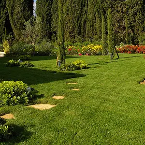 Engazonnement de jardin